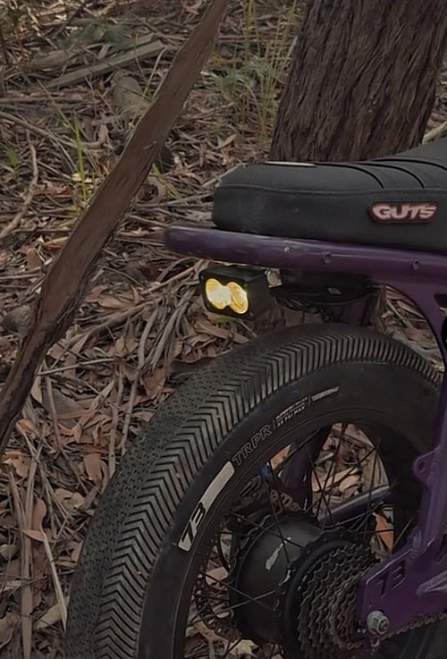79 Bike Baja (TAILIGHT) BLINDER