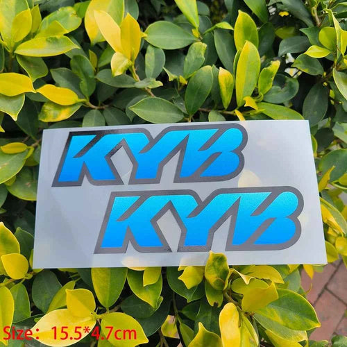 Colorful E-Moto KYB Fork Stickers