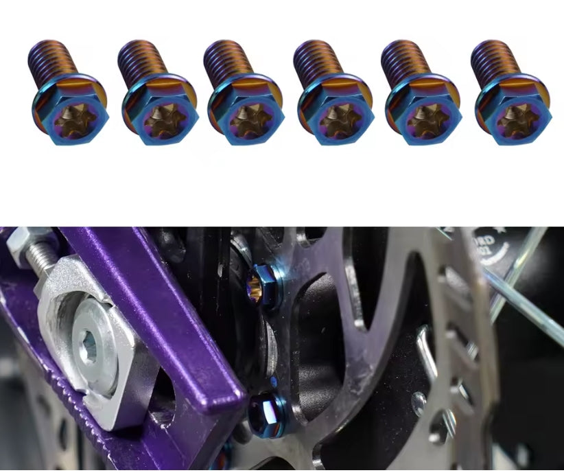 Surron LBX Rear Brake Rotor Titanium Bolts - AxMotos