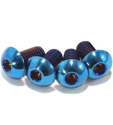 Titanium horn cover bolts